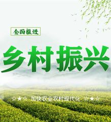 乡村振兴